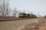 NS 1033 takes a stack train west